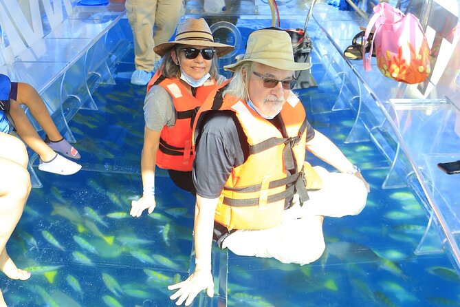 Tours in Cabo, Paseo al Arco and Fin de la Tierra in the only Clear Boat - Best time and how to reduce hassle at the marina