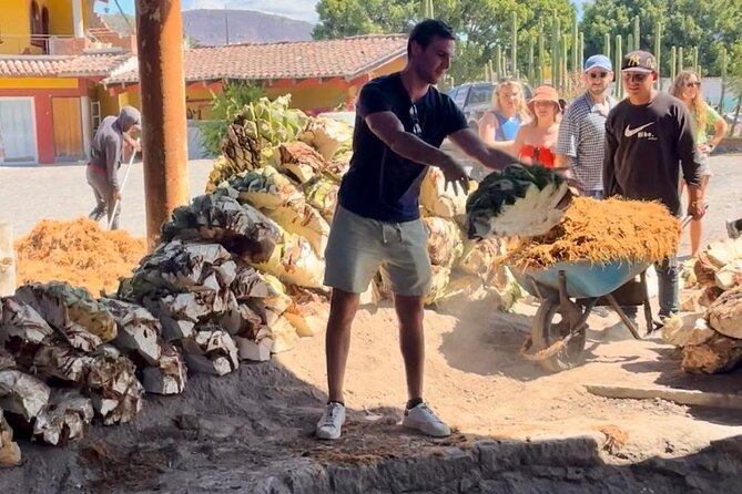 Tradicional Mezcal Experience in Oaxaca-Visit a Family Distillery - A Family Palenque in Mitla: From roasted agave to the pot still
