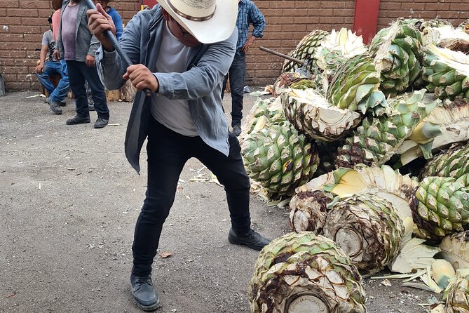 Tradicional Mezcal Experience in Oaxaca-Visit a Family Distillery - Price and Value: Is $100.96 worth it?