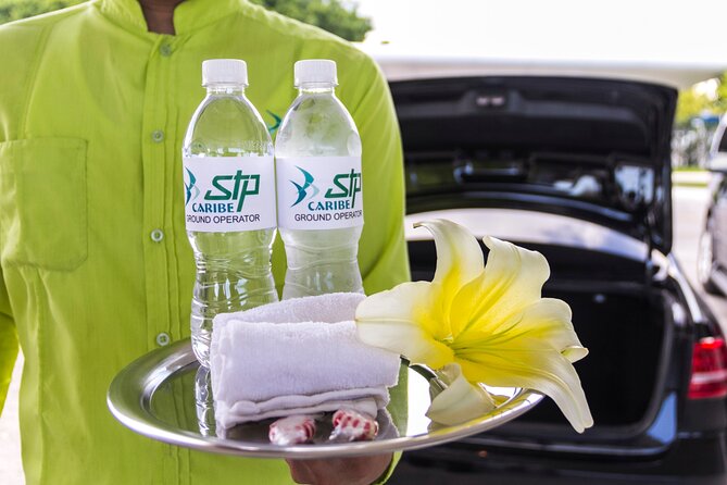 Transfer in Luxury Mercedes Benz Minivan - Airport meetup, step by step: how it actually works