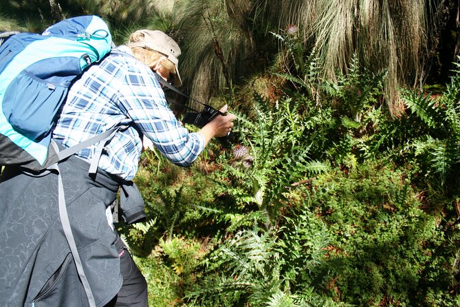 Trekking Through The Volcanoes - Your guide and the small-group advantage