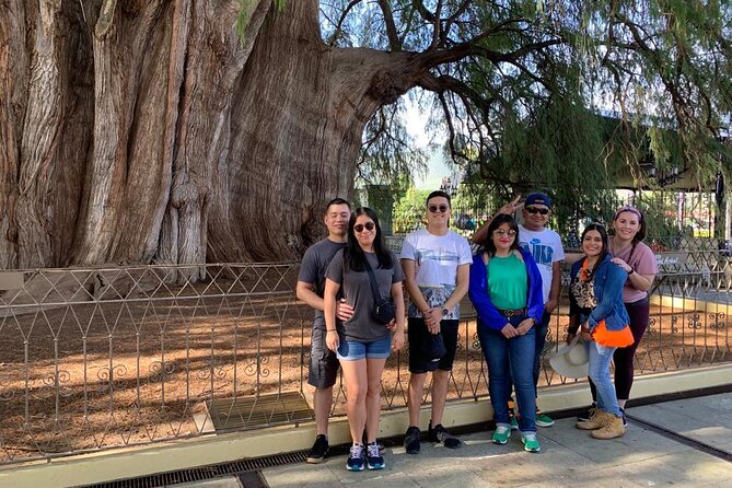 Tule, Mitla & Hierve el Agua Full-Day Tour with Certified Guide - Hierve el Agua: petrified waterfalls, big views, and the one-day reality check