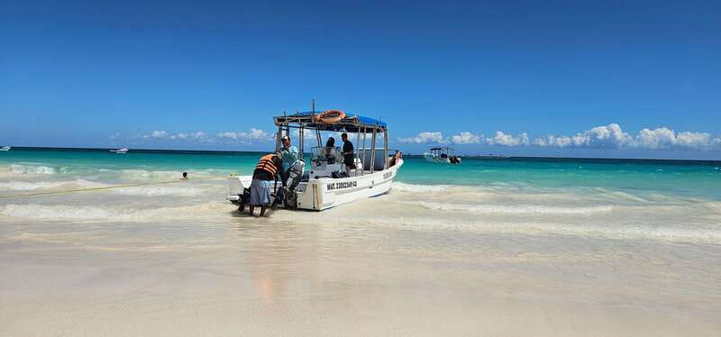Tulum: 2-Hour Snorkeling in Two Spots of Tulum's Reef - Key things I’d plan for before you go