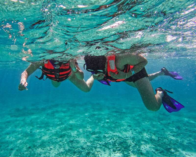 Tulum: 2-Hour Snorkeling in Two Spots of Tulum's Reef - What You’ll See Underwater: Turtles, Rays, Coral, and Fish