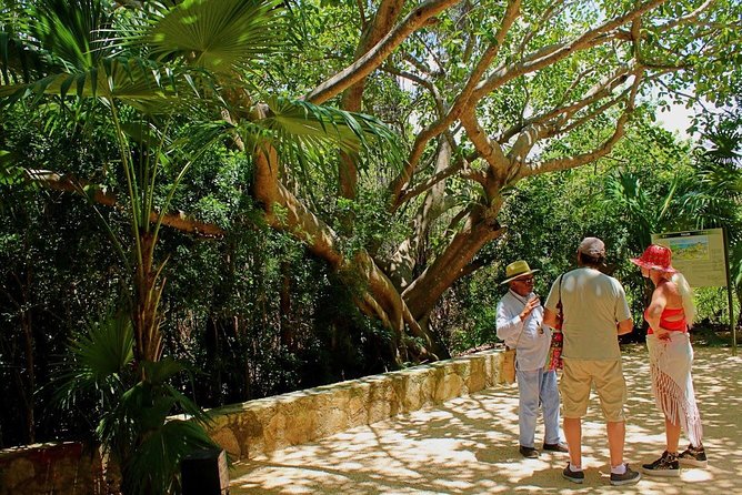 Tulum and Cenote Casa Tortuga Day Trip - Should You Book This Tulum and Cenote Casa Tortuga Day Trip?
