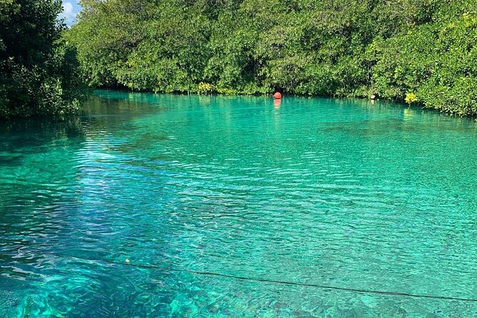 Tulum Area Experiences Guided 2 Tank Scuba Dive Casa Cenote & Barrier Reef-Lunch - Guides and safety coaching: the names that kept showing up