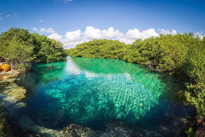 Tulum Area Experiences Guided 2 Tank Scuba Dive Casa Cenote & Barrier Reef-Lunch - Price and what you get from $209.95 per person