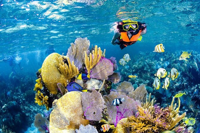 Tulum Area Experiences Guided Snorkeling Tour - Casa Cenote + Ocean Reef & Lunch - Casa Cenote + ocean reef: why this combo makes sense