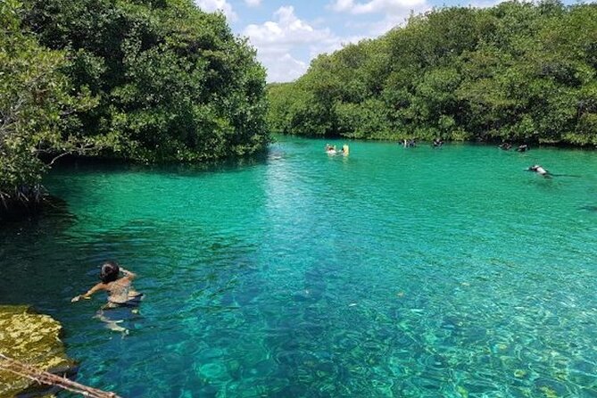 Tulum Area Experiences Guided Snorkeling Tour - Casa Cenote + Ocean Reef & Lunch - The boat transfer and ocean snorkeling rules you should plan for