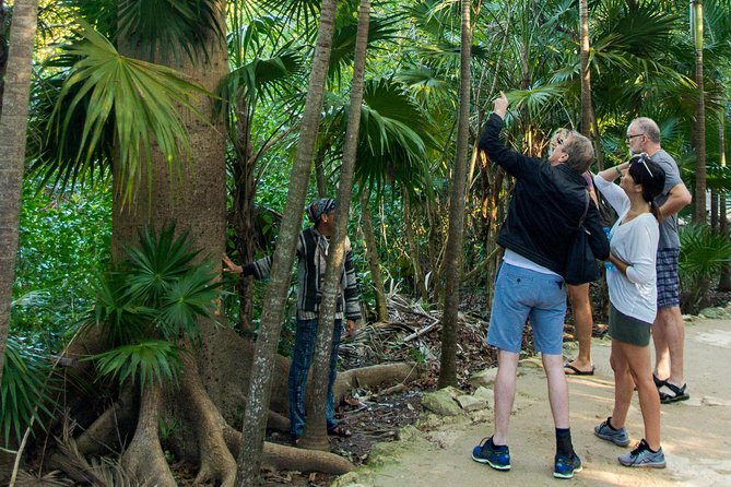 Tulum Bike Tour Tulum Maya Ruins Cenote Swimming Pueblo History Art Tacos Lunch - Taco Lunch and Street Snacks: How the Food Fits the Route