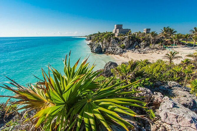 TULUM, CENOTE, MYSTIKA MUSEUM, TURTLES SNORKELING (Private) - Turtle Snorkeling: Wildlife Time With a Private-Guide Advantage