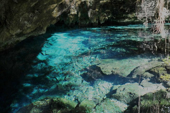 TULUM, CENOTE, MYSTIKA MUSEUM, TURTLES SNORKELING (Private) - How to Plan Your Day So It Feels Effortless
