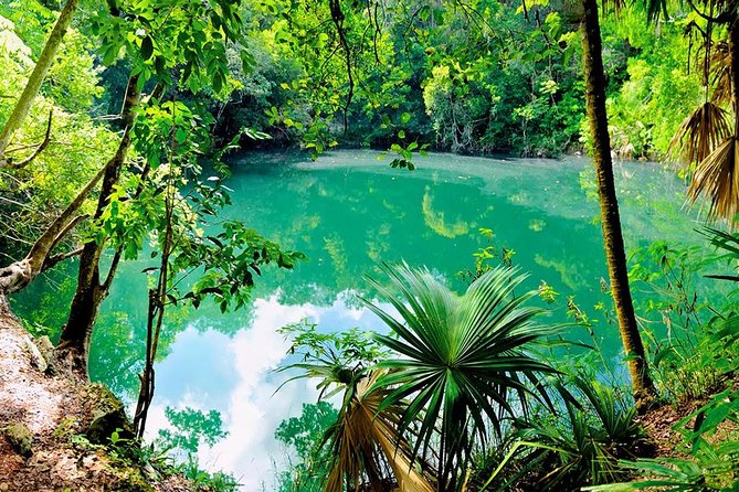 TULUM, CENOTE, MYSTIKA MUSEUM, TURTLES SNORKELING (Private) - Who This Private Tour Is Best For