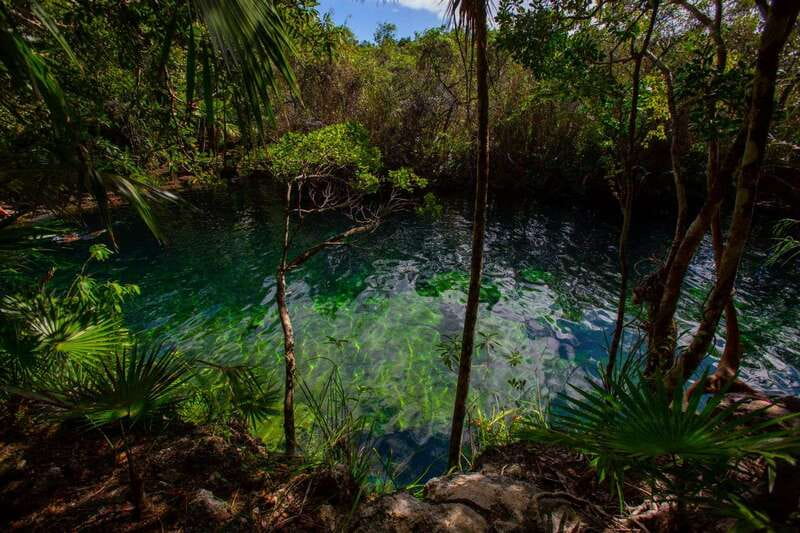 Tulum: Cenote Trail Bike Tour - Zip Lines and Canoe: When the Day Adds Momentum