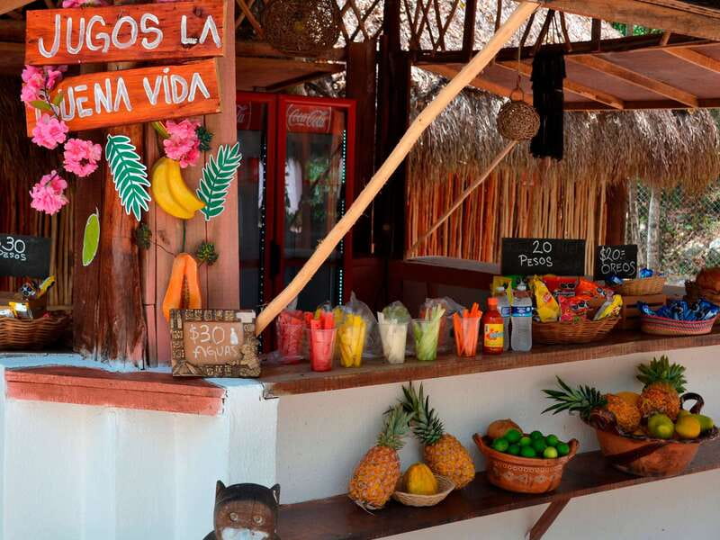 Tulum: Chocolate & Honey Sanctuary Experience with Lunch - How long it takes, and how the pace feels