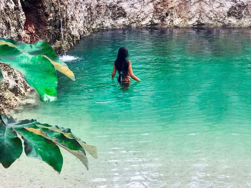 Tulum: Chocolate & Honey Sanctuary Experience with Lunch - Price and value for a $59, 3-hour honey and cacao sanctuary