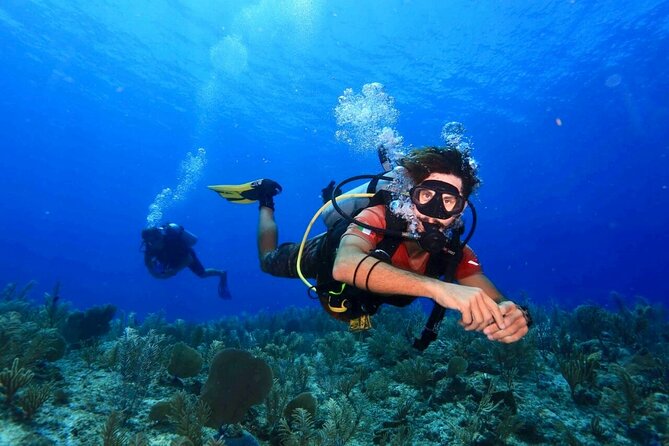 Tulum Diving (Reef) 2 Tanks - Key Things That Make This Reef Scuba Trip Worth It