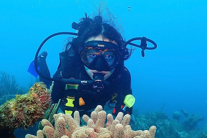 Tulum Diving (Reef) 2 Tanks - Boat Ride to the Mesoamerican Reef, Then Two Scuba Sessions