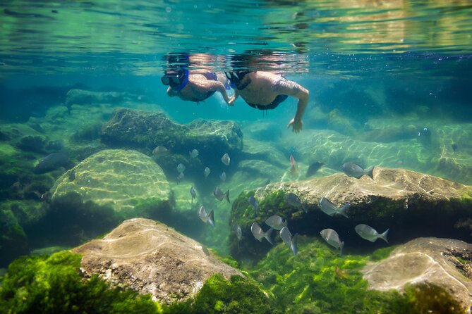 Tulum Guided Tour, Magical Cenote, Lagoon Snorkeling and Beachside Lunch - Punta Venado beach club lunch: good food, late timing