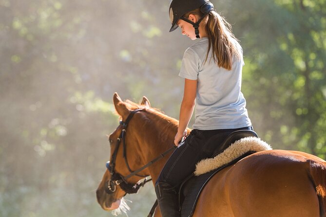 Tulum Jungle Horseback Ride + ATV + Ziplines + Cenote Combo Tour - Getting to the Jungle: meeting points and what pickup really means