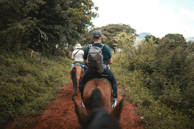 Tulum Jungle Horseback Ride + ATV + Ziplines + Cenote Combo Tour - Cenote swim through an underground river: why this is the star stop
