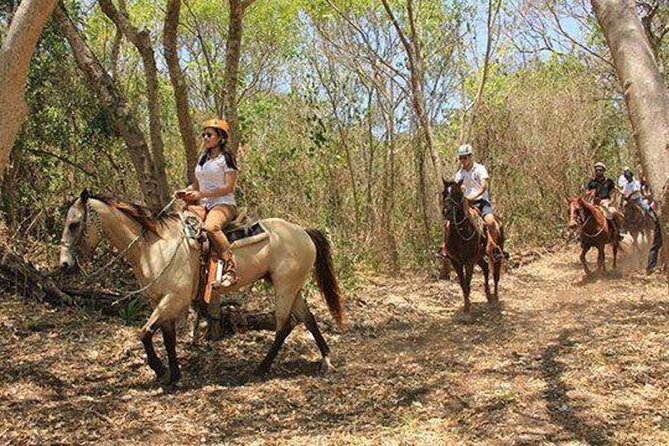 Tulum Jungle Horseback Ride + ATV + Ziplines + Cenote Combo Tour - Horseback riding in the jungle: great for some, short for many