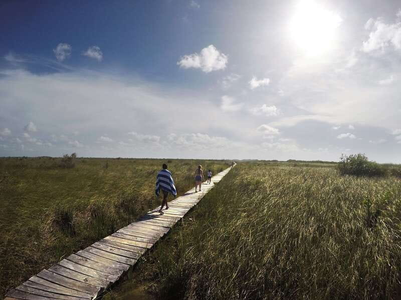 Tulum: Mayan Ruins & Sian Kaan Tour with Boat Ride and Lunch - Price and value: where $169 per person really pays off