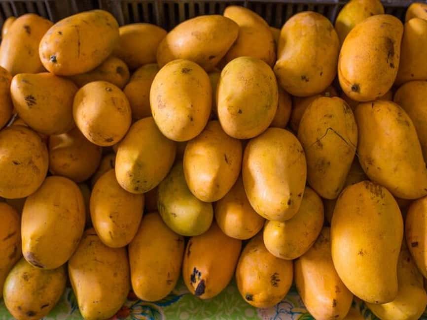 Tulum: Mexican Cooking Class in Local Home - Mezcal Tasting That Actually Teaches You How to Sip