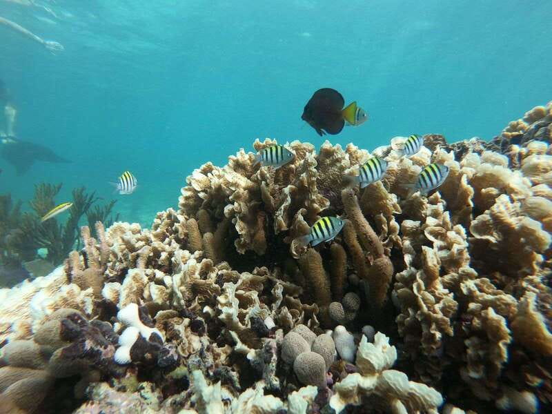 Tulum: Private Snorkel and Sailing Experience - Jaguar National Park extras: trails, viewpoints, and park amenities