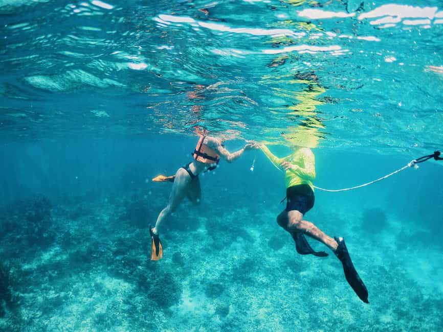 Tulum: Private Snorkel and Sailing Experience - Practical tips: what to bring, what not to bring, and how to plan around weather