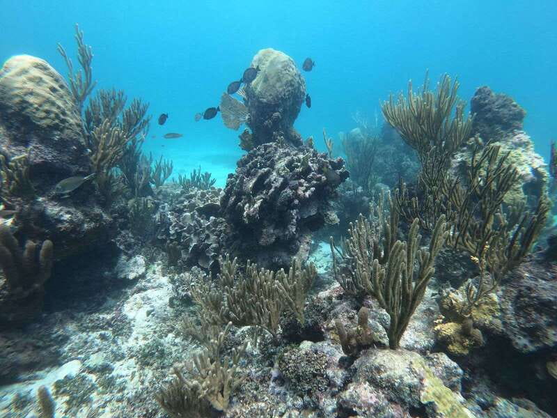 Tulum: Private Snorkel and Sailing Experience - Sailing in front of Tulum ruins, with the best kind of perspective