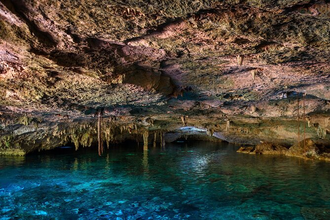 Tulum Ruins and Cenote Guided Tour, from Cancun - Who should book this Tulum and cenote tour