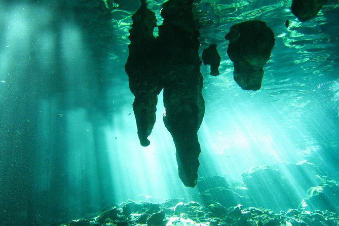 Tulum Ruins & Cenote guided private tour from Tulum and Riviera Maya. - Why a private guide makes the day better