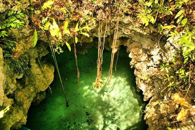 Tulum Ruins & Cenote guided private tour from Tulum and Riviera Maya. - Transportation and schedule: how to make this feel low-stress