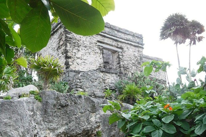 Tulum Ruins Tour (Private, Half Day) - Who Should Book This Tour (and Who Might Prefer Something Else)