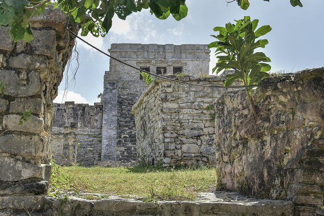 Tulum Ruins, Turtles in Akumal and Cenote tour - How the 8-hour day really works, from early pickup to late lunch
