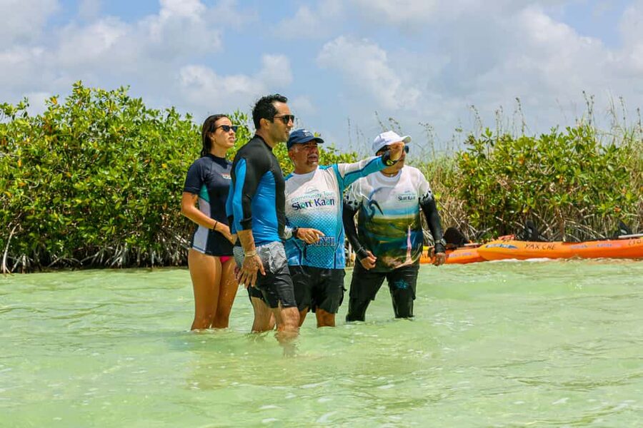 Tulum: Sian Ka'an Biosphere Reserve Kayak Tour - Paddle the Mayan Trade Route in Sian Ka’an, Without the Noise of Big Boats
