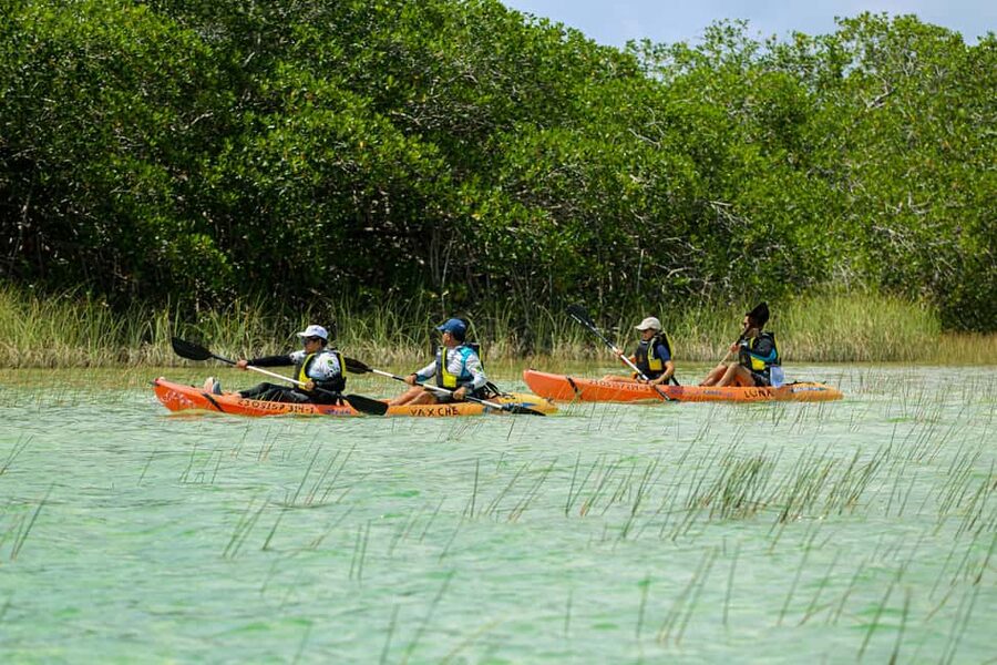 Tulum: Sian Ka'an Biosphere Reserve Kayak Tour - Getting There From Tulum: Van Time, Early Mornings, and a Built-In Rhythm