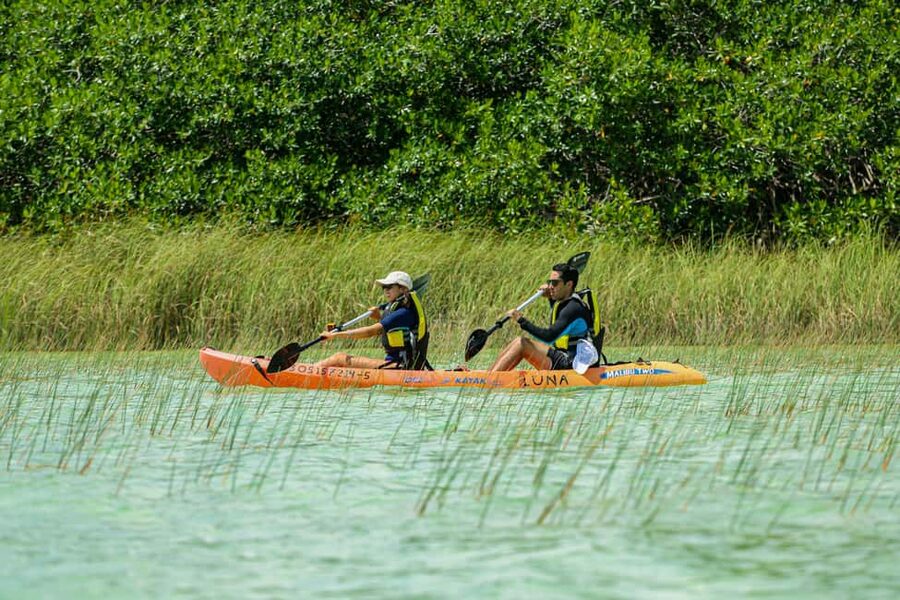 Tulum: Sian Ka'an Biosphere Reserve Kayak Tour - Swimming or Extra Stops: When Conditions Help and When Wind Wins