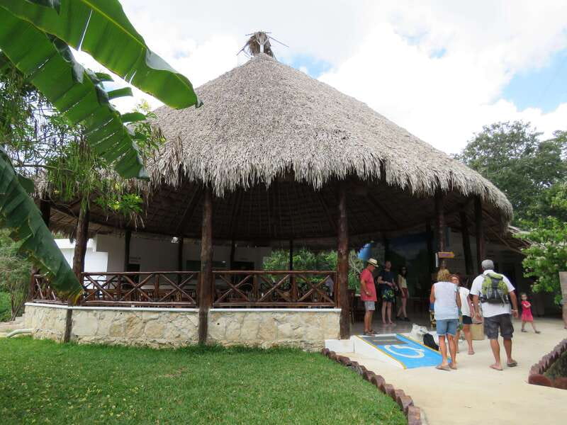 Tulum: Sian Ka'an Biosphere Reserve Kayak Tour - Price and Value: How $109 Fits a Biosphere, a Guide, and Two Meals