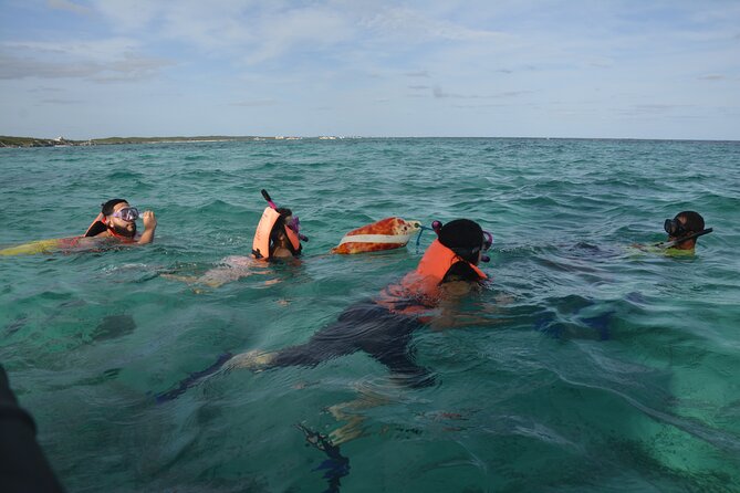 Tulum: Snorkeling and Private Sailing Tour - Price and value: $65.72 for a private water day (with one big extra)