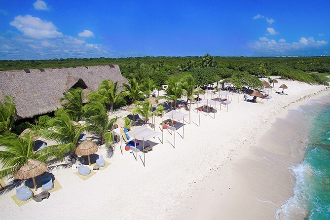 Tulum, Snorkeling with Sea Turtles, Cenote and Beachside Lunch - The guide can make or break a packed day