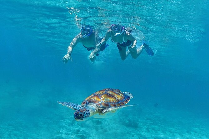 Tulum, Snorkeling with Sea Turtles, Cenote and Beachside Lunch - Tulum Archaeological Site: stunning views, big heat, and that $25 fee