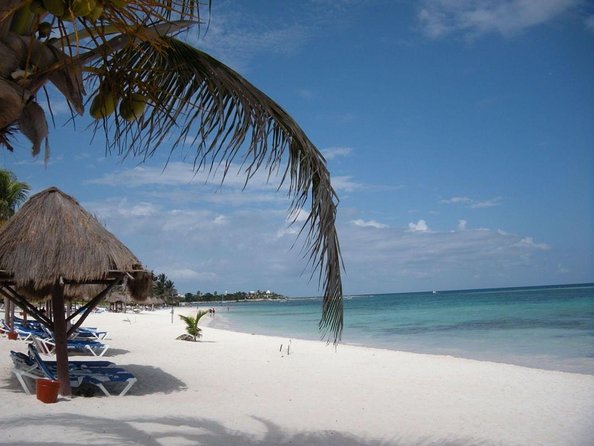 Turtle Encounter Private Tour – Swim with Sea Turtles & Cenote - Key Things You’ll Notice on This Tour
