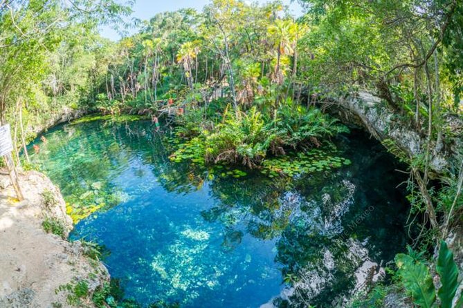 Turtle Encounter Private Tour – Swim with Sea Turtles & Cenote - Turtle and Cenote Day in Playa del Carmen, Without the Headache