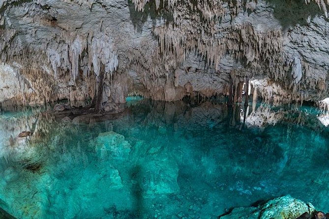 Turtle Encounter Private Tour – Swim with Sea Turtles & Cenote - Cenote Taak Bi Ha and Your Choice of Caves or Open-Air Swims