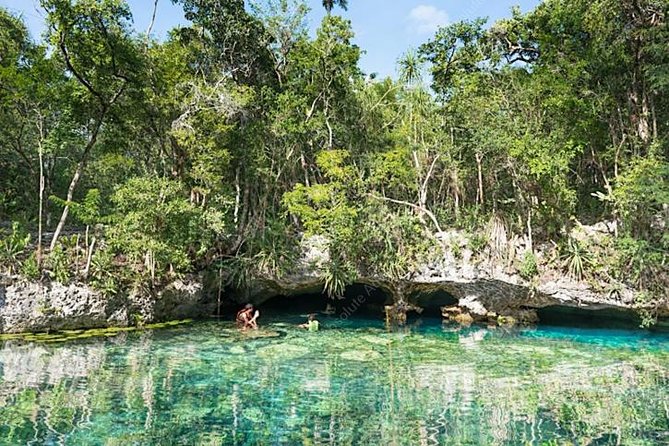 Turtle Encounter Private Tour – Swim with Sea Turtles & Cenote - Who This Tour Fits Best (and Who Should Skip It)