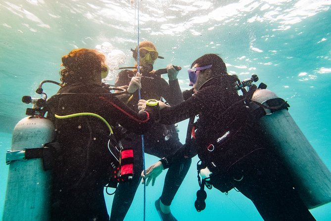Two reef discovery dives with professional instructor (no experience necessary) - Pool-first scuba skills: why this setup helps real beginners