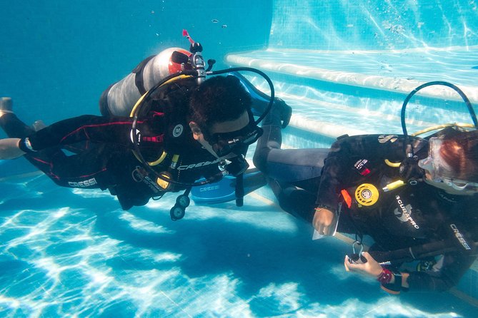 Two reef discovery dives with professional instructor (no experience necessary) - Price and value: why $150 can be a great deal for beginners