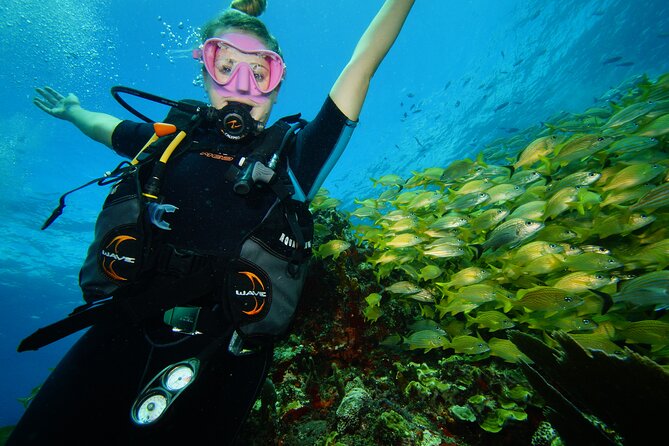 Two Reefs For Certified Divers in Cancun - Key things I’d bet on before you book